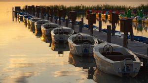 Barcos eléctricos