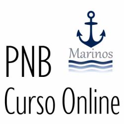 Curso online PNB