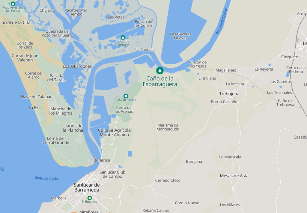 Pesca en el río Guadalquivir con caña desde la orilla en zona de marismas cerca de Sevilla