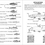 Diptico peces pesca Extremadura Página 1