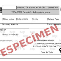 Espécimen de Licencia de pesca de Aragón