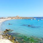 Reservas marinas de interés pesquero y la pesca recreativa Isla de Tabarca - Reserva marina de interés pesquero