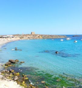 Isla de Tabarca - Reserva marina de interés pesquero