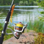 Licencias de pesca recreativa marítima y continental