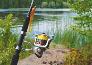 Licencia de pesca continental de Andalucía