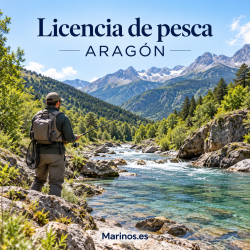 Pescador junto a un río de montaña para el producto Licencia de pesca de Aragón de Marinos.es.