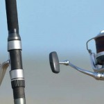 Licencias de pesca recreativa marítima y continental