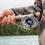 Licencias de pesca recreativa marítima y continental