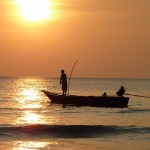 Licencias de pesca recreativa marítima y continental