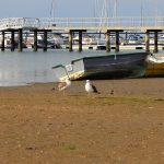 Licencia para pescar en Huelva en la costa y el mar Licencia para pescar en Huelva desde playa y desde barco. Imagen de la playa adyacente al RCMH.