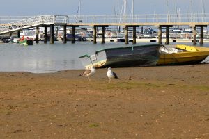 Licencia para pescar en Huelva desde playa y desde barco. Imagen de la playa adyacente al RCMH.