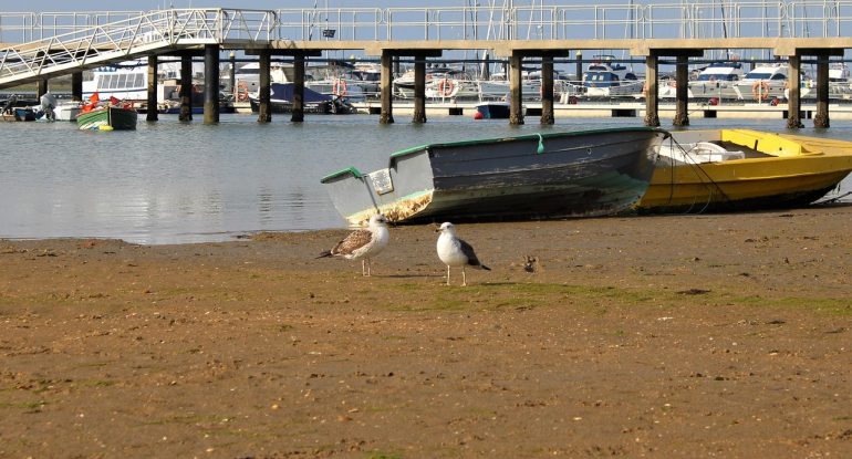 Licencia para pescar en Huelva desde playa y desde barco. Imagen de la playa adyacente al RCMH.