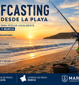 Descubre qué licencia necesitas para practicar surfcasting desde la playa en Andalucía y Murcia. Guía completa sobre normativa, equipos y consejos para pescar legalmente.