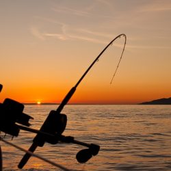 aplicaciones de pesca deportiva