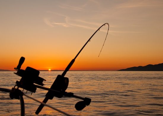 aplicaciones de pesca deportiva