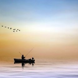 Carné de pesca marítima para Andalucía