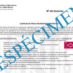 licencia pesca baleares licencia pesca mallorca licencia pesca ibiza licencia pesca menorca licencia pesca formentera pesca recreativa baleares pesca desde tierra baleares licencia pesca mar